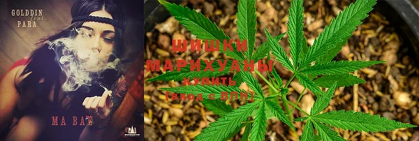 MESCALINE Медвежьегорск