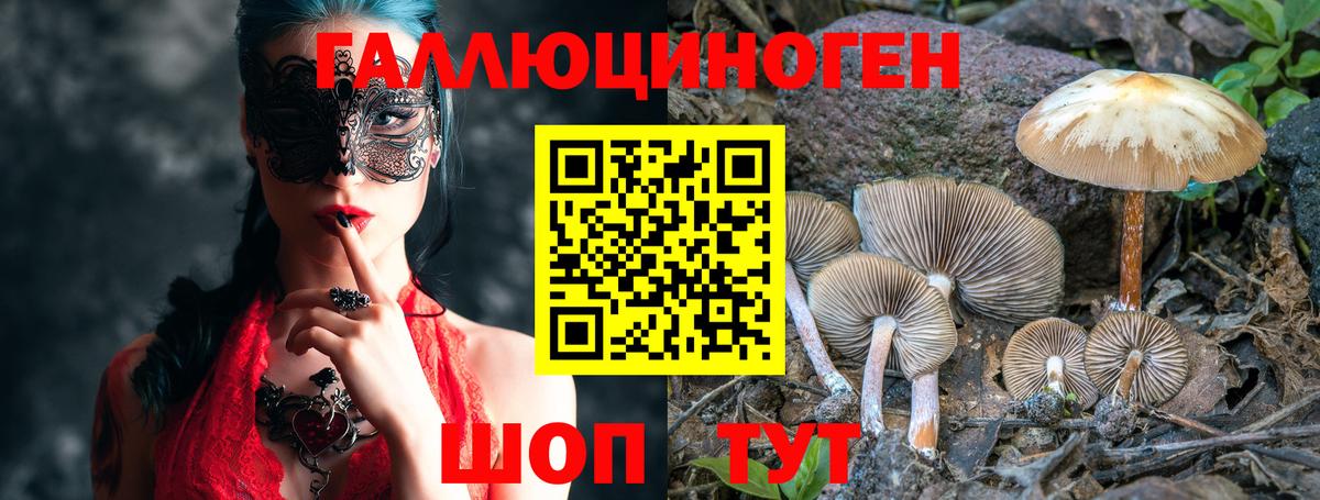 Галлюциногенные грибы GOLDEN TEACHER  Псилоцибиновые грибы Psilocybine cubensis  Домодедово 